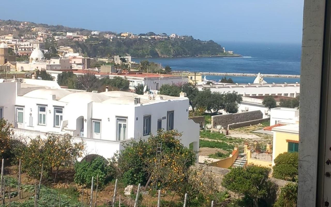 La Casa Dei Sogni Villa Procida Exterior photo